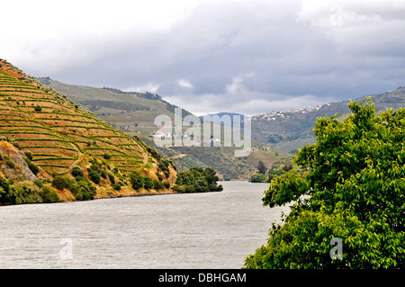 Fiume Douro vicino a Pinhao Portogallo Foto Stock