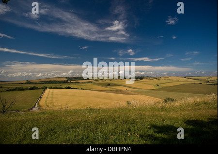 Vista di Chanctonbury Ring sul South Downs da anelli Cissbury vicino a Worthing, West Sussex, Regno Unito Foto Stock