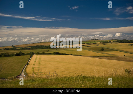 Vista di Chanctonbury Ring sul South Downs da anelli Cissbury vicino a Worthing, West Sussex, Regno Unito Foto Stock