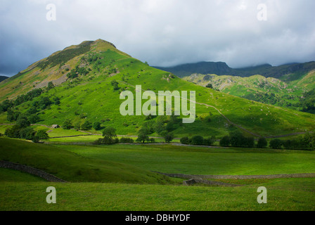 Alta Hartsop Dodd e Dovedale Valley, vicino Hartsop, Parco Nazionale del Distretto dei Laghi, Cumbria, England Regno Unito Foto Stock