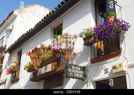 Tradizionale display floreale sui balconi di un edificio vicino alla Mezquita di Cordova, Andalusia Andalusia Foto Stock