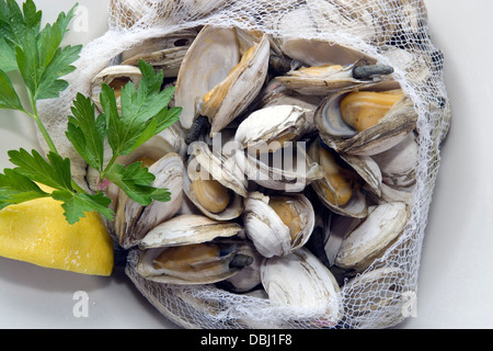 Vaporizzato Rhode Island le vongole Foto Stock