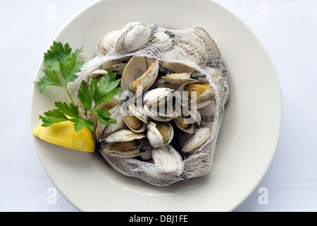 Vaporizzato Rhode Island le vongole Foto Stock