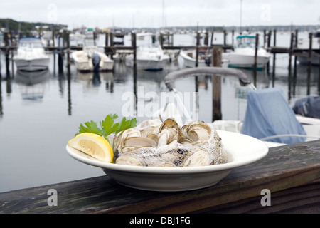 Vaporizzato Rhode Island le vongole Foto Stock