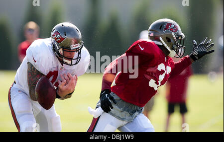 Tampa, Florida, Stati Uniti d'America. 31 Luglio, 2013. Sarà VRAGOVIC | Orari .Tom Crabtree (84) consente la palla lontano da lui durante il Tampa Bay Buccaneers training camp a uno Buc luogo mercoledì 31 luglio, 2013. Credito: Sarà Vragovic/Tampa Bay volte/ZUMAPRESS.com/Alamy Live News Foto Stock