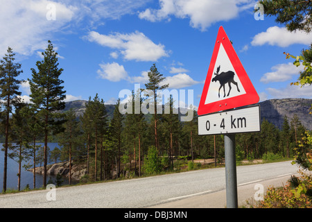 Un triangolo rosso cartello segnaletico per le alci o elk sulla strada 41 attraverso la foresta intorno a Nissedal, Telemark county, Norvegia e Scandinavia Foto Stock