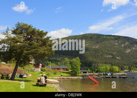 I turisti a tavoli da picnic sulle rive del lago Vravatn nel villaggio di Vrådal, Telemark county, Norvegia meridionale e Scandinavia Foto Stock
