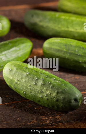 Verde biologico cetrioli sottaceto utilizzati per il decapaggio Foto Stock