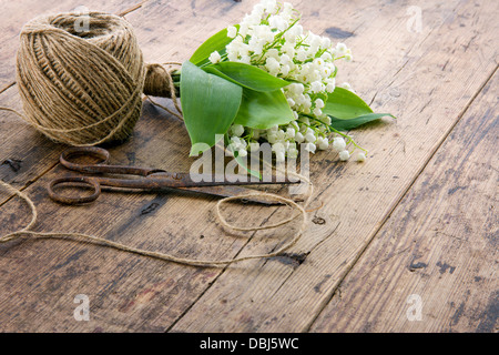 Bouquet di fiori di primavera lilys della valle con il vecchio arrugginito forbici di antiquariato e la sfera di spago marrone Foto Stock