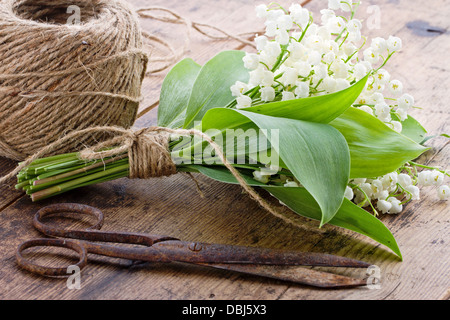 Bouquet di fiori di primavera lilys della valle con il vecchio arrugginito forbici di antiquariato e la sfera di spago marrone Foto Stock