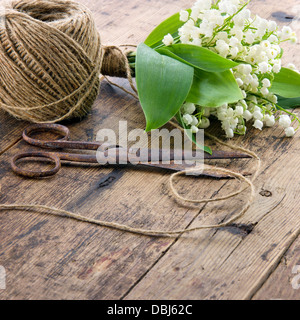 Bouquet di fiori di primavera lilys della valle con il vecchio arrugginito forbici di antiquariato e la sfera di spago marrone Foto Stock