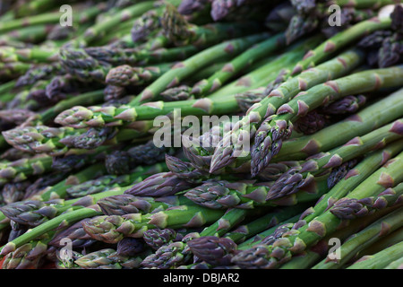 Pila di asparagi verdi al mercato degli agricoltori Foto Stock