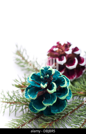 Decorazione per albero di Natale - pigne nelle quali e ago di pino su sfondo bianco. Foto Stock