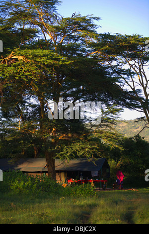 Ol Kinyei Conservancy Camp. Vicino a Masai Mara. Kenya, Africa. Foto Stock