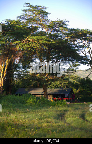 Ol Kinyei Conservancy Camp. Vicino a Masai Mara. Kenya, Africa. Foto Stock