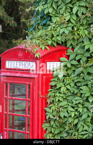 Britannico tradizionale telefono rosso scatola, England, Regno Unito Foto Stock