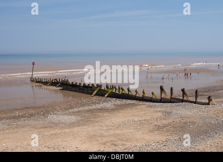 La spiaggia e il legname groyne a Ashford East Yorkshire Regno Unito Foto Stock