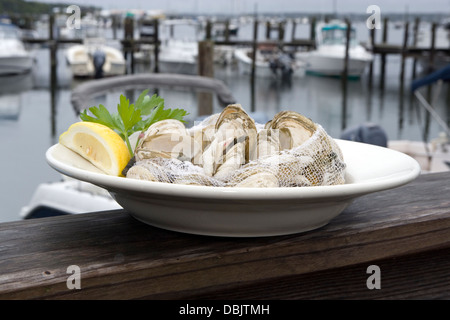 Vaporizzato Rhode Island le vongole Foto Stock