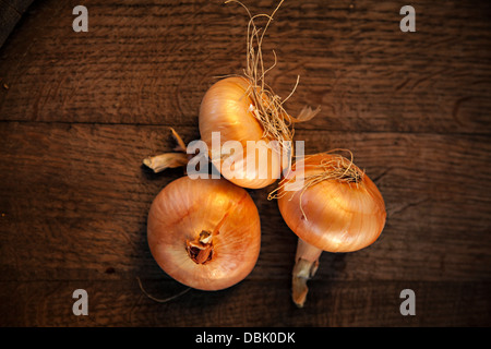 Tre cipolle sul tavolo di legno, Croazia e Slavonia, Europa Foto Stock