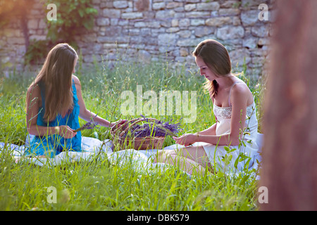 Due giovani donne la preparazione di Lavanda per essiccazione, Croazia, Dalmazia, Europa Foto Stock