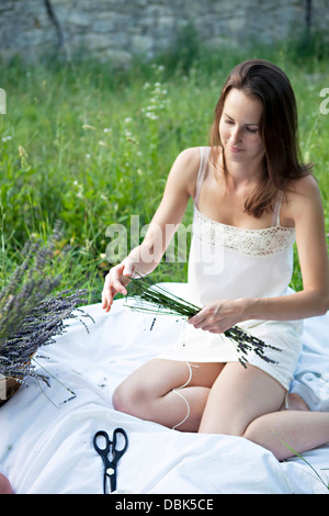 Donna di legatura di mazzi di lavanda, Croazia, Dalmazia, Europa Foto Stock