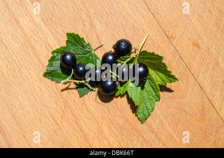 Il ribes nero con foglie verdi su una superficie in legno Foto Stock