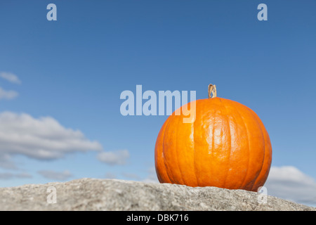 La zucca fuori le porte su una soleggiata giornata autunnale Foto Stock