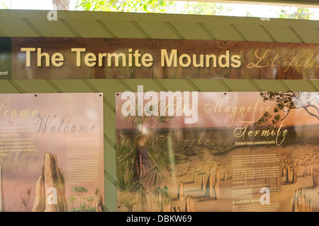 Termite gigante mounds nel territorio del nord,l'australia Foto Stock