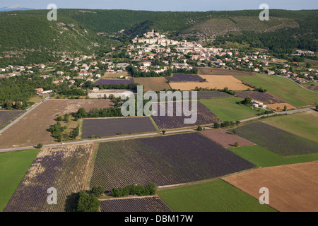 VISTA AEREA. Villaggio collinare provenzale che domina campi di lavanda in fiore. Banon, Alpi dell'alta Provenza, Provenza, Francia. Foto Stock