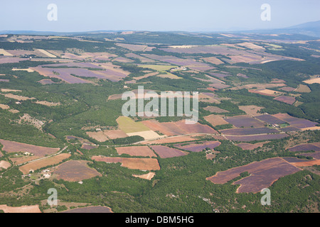VISTA AEREA. Altopiano con un mosaico di campi di lavanda in fiore e boschetti. Vicino a Simiane-la-Rotonde, Provenza, Francia. Foto Stock