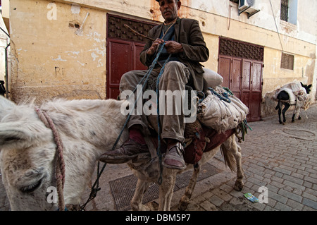 Asino uomo nelle strade di Fez el Bali, Fez, in Marocco. Città Imperiale, patrimonio mondiale Foto Stock