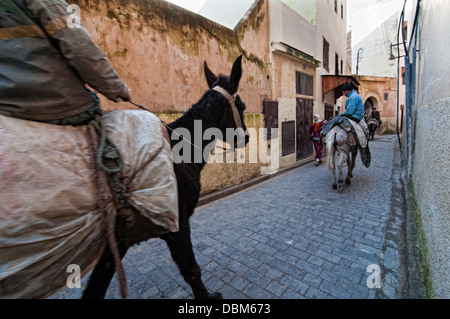 Asino gli uomini nelle strade di Fez el Bali, Fez, in Marocco. Città Imperiale, patrimonio mondiale Foto Stock