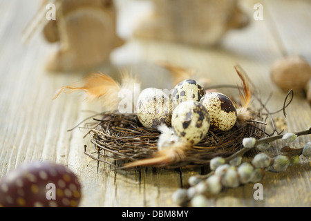 Decorazione di pasqua, uova di quaglia con cesto di Pasqua, osijek, Croazia, Europa Foto Stock