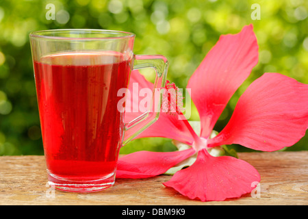 Bissap. Bevanda tipica del Senegal. Rozelle. Medicinali hibiscus rosso. Hibiscus sabdariffa. Foto Stock