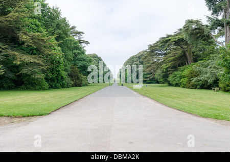 Cirencester Park parte di Bathurst Estate in Gloucestershire Foto Stock