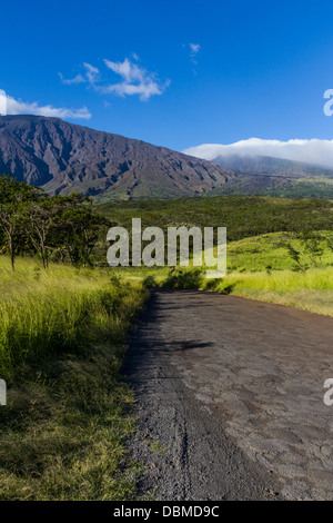 Vista del vulcano Haleakala dalla Piilani Highway (strada di ritorno per Hana) sull'isola di Maui nelle Hawaii. Foto Stock