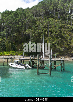 Dh Roberton Isola Baia delle Isole della Nuova Zelanda molo vecchio Motuarohia velocità isola barca legato Foto Stock