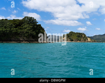 Dh Urupukapuka Island BAIA DELLE ISOLE LE ISOLE DELLA NUOVA ZELANDA costa mare blu Foto Stock