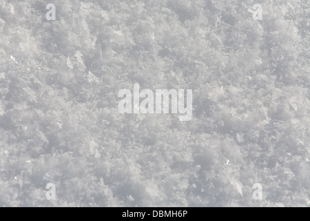 Texture di fresca neve morbida superficie closeup Foto Stock