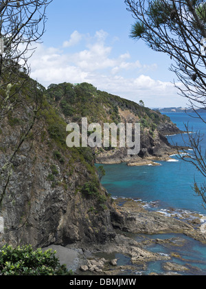 Dh Roberton Isola Baia delle Isole della Nuova Zelanda Motuarohia scogliere dell'isola rocciosa costa Foto Stock