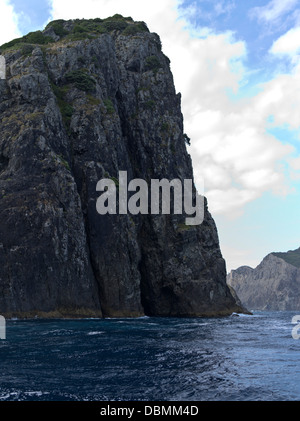 Dh Piercy Isola Baia delle Isole della Nuova Zelanda Isola Motukokako rock cliffs Foto Stock