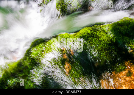 Acqua cristallina che scorre su verdi rocce di muschio Foto Stock