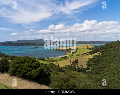 Dh Urupukapuka Island Bay of Islands NUOVA ZELANDA vista panoramica della campagna dell'isola Foto Stock