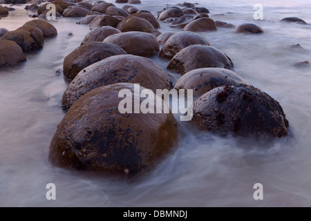 Costa californiana, bowling palla spiaggia presso sunrise, a sud di Punta Arenas, CALIFORNIA, STATI UNITI D'AMERICA Foto Stock