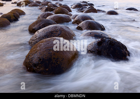 Costa californiana, bowling palla spiaggia presso sunrise, a sud di Punta Arenas, CALIFORNIA, STATI UNITI D'AMERICA Foto Stock