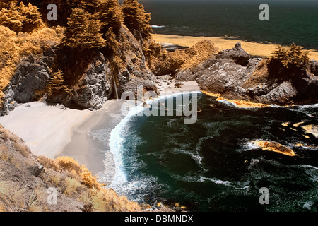 McWay cade a McWay Cove, Julia Pfeiffer Burns State Park, Big Sur, CALIFORNIA, STATI UNITI D'AMERICA Foto Stock