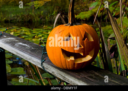 Un felice scolpito zucca di Halloween sul display nel giardino. Jack-O-Lantern. Foto Stock