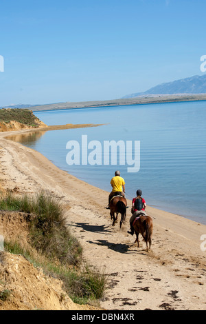 Giovane Equitazione sulla spiaggia, Croazia, Dalmazia, Europa Foto Stock