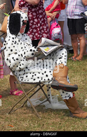 Nuova Foresta & Hampshire County Show, vicino a Brockenhurst, Hampshire REGNO UNITO 1 agosto 2013. Migliaia di gregge a mostrare l'ultimo giorno come temperature soar e splende il sole. Credito: Carolyn Jenkins/Alamy Live News Foto Stock