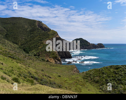 Dh Cape Reinga NUOVA ZELANDA Aupouri penisola costa campagna seacliffs promontorio scenic northland Foto Stock